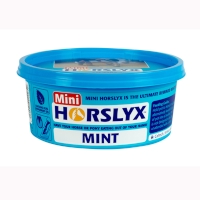 Horslyx Mini Lick Mint 650g